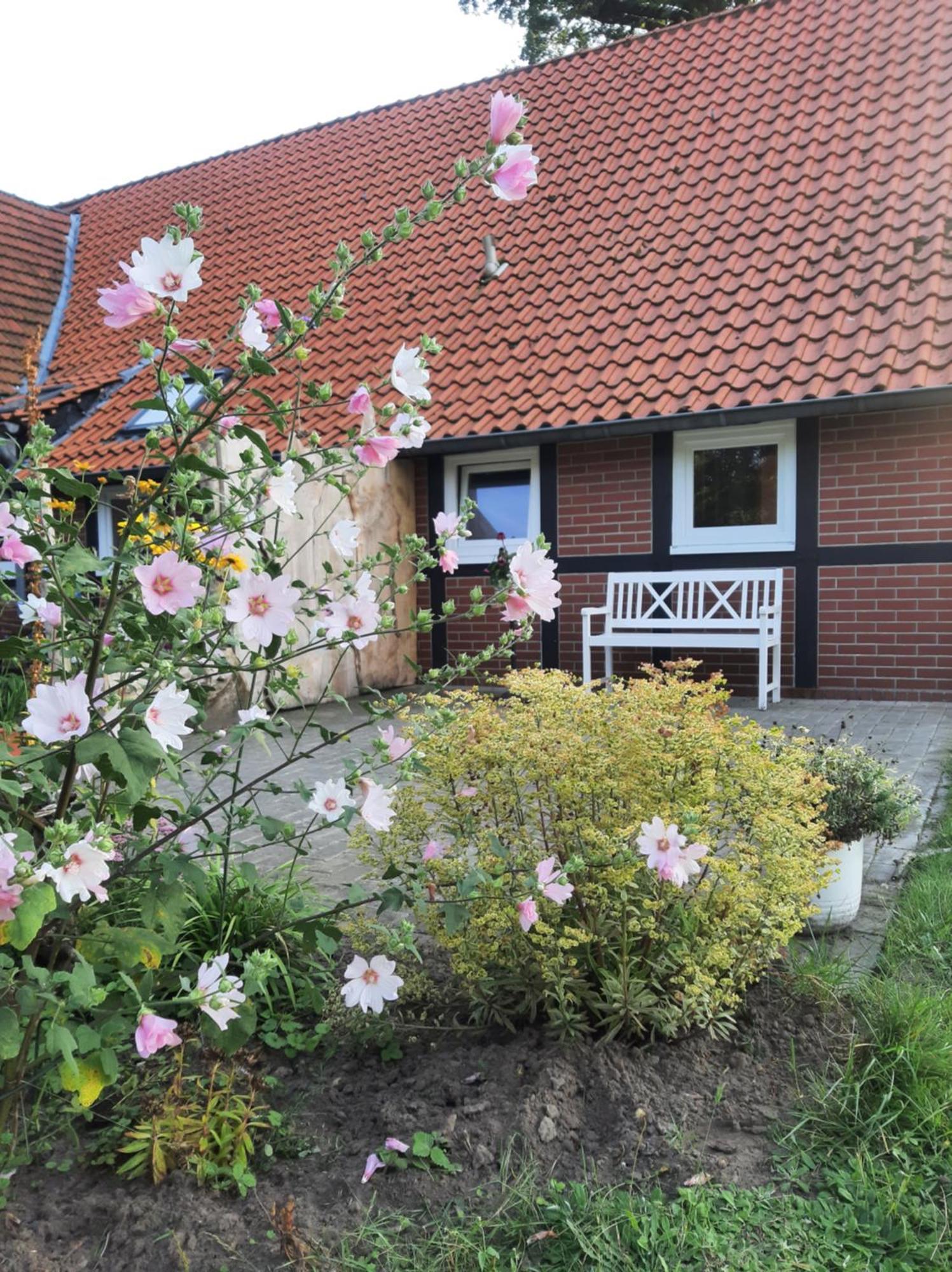 Ferienwohnung Auf Dem Land Ladbergen Extérieur photo