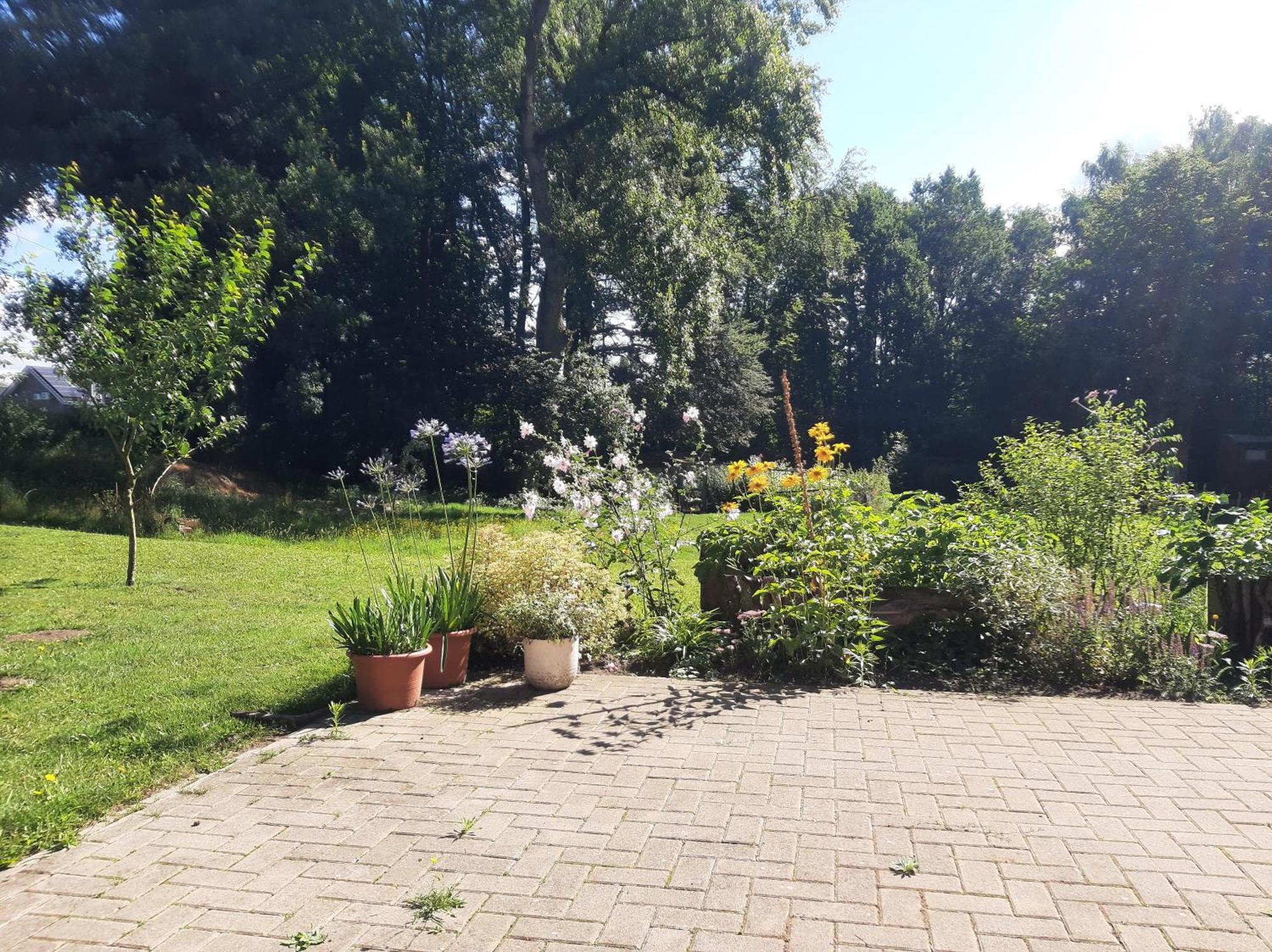 Ferienwohnung Auf Dem Land Ladbergen Extérieur photo